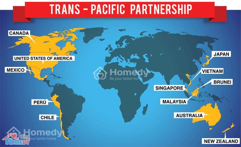 TPP la gi