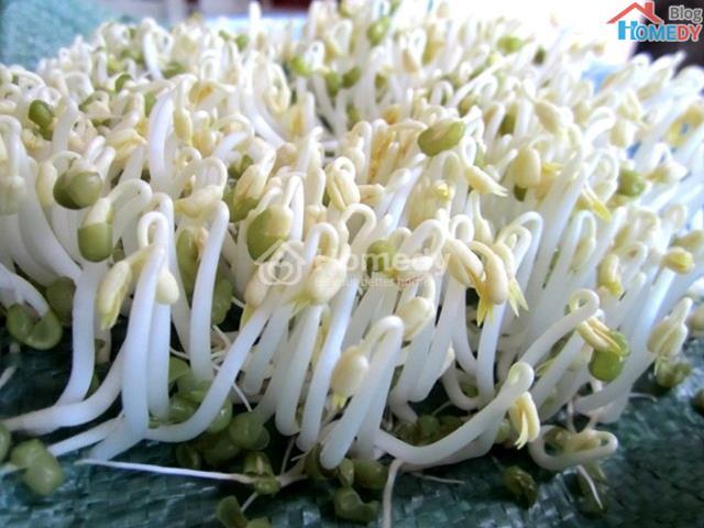 trong gia