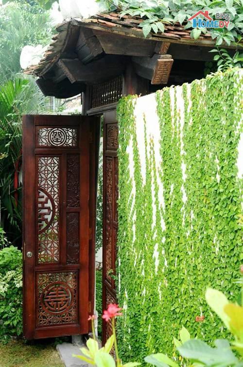 tuong rao