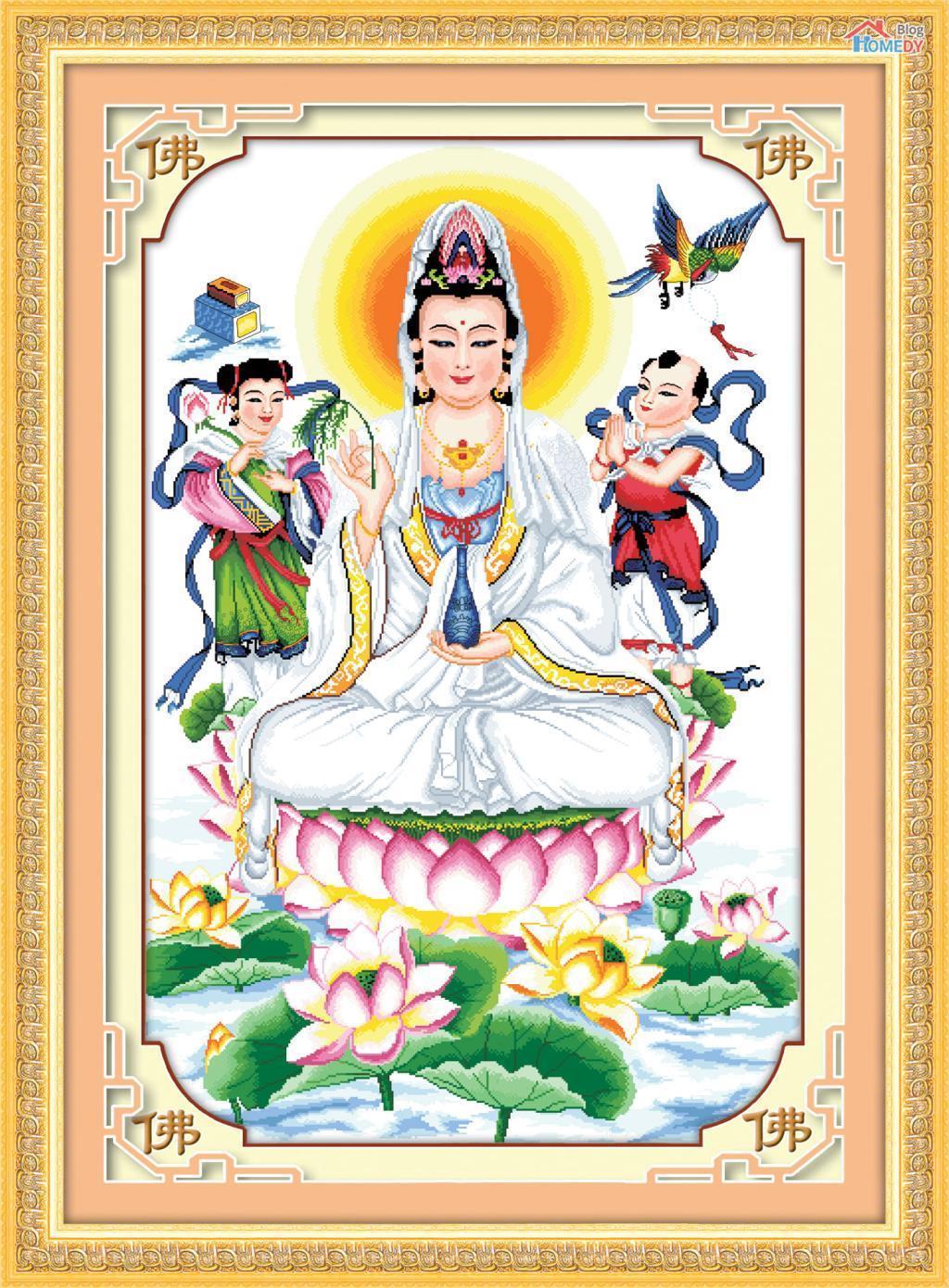 anh quan the am