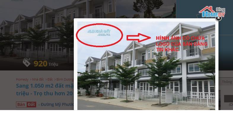hinh anh