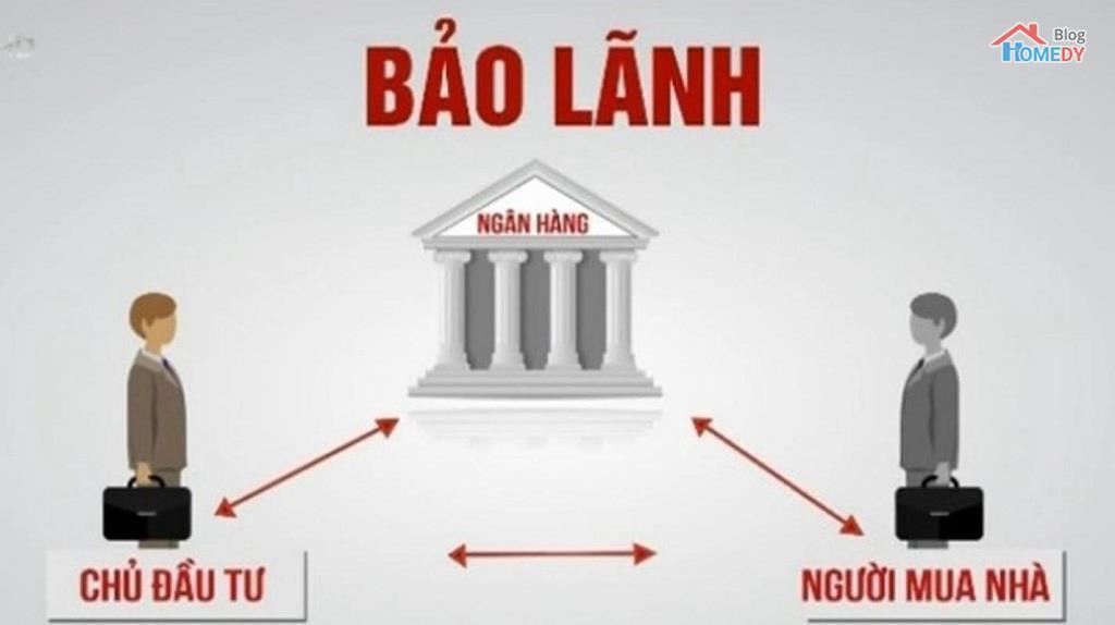 don vi bao lanh