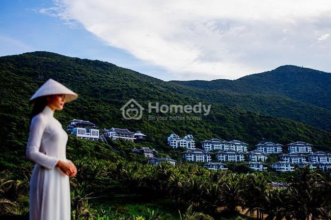 toa-hoi-nghi