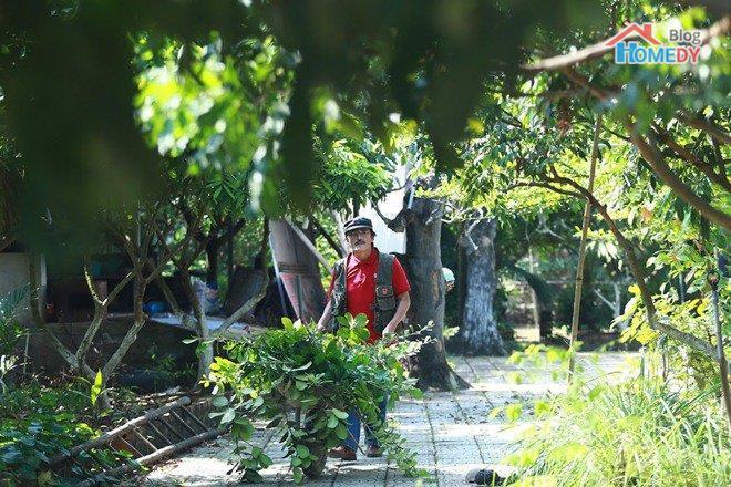 danh hai giang coi