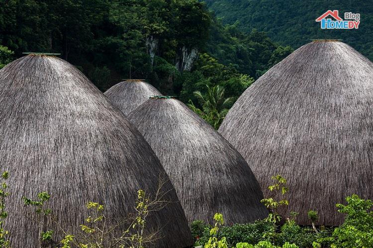 thiet-ke-nha-vom