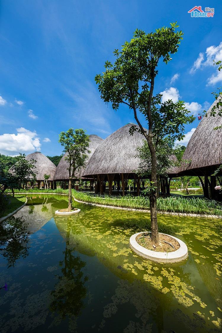 thiet-ke-nha-vom
