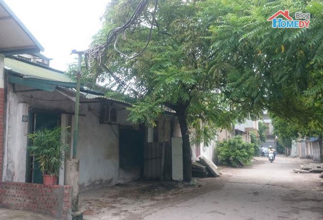 khuong dinh