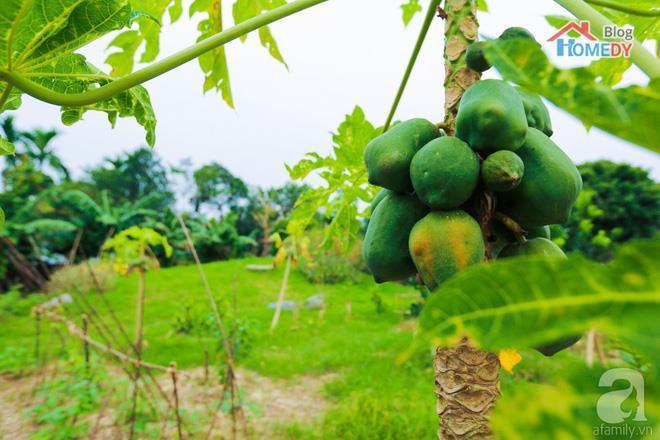du du
