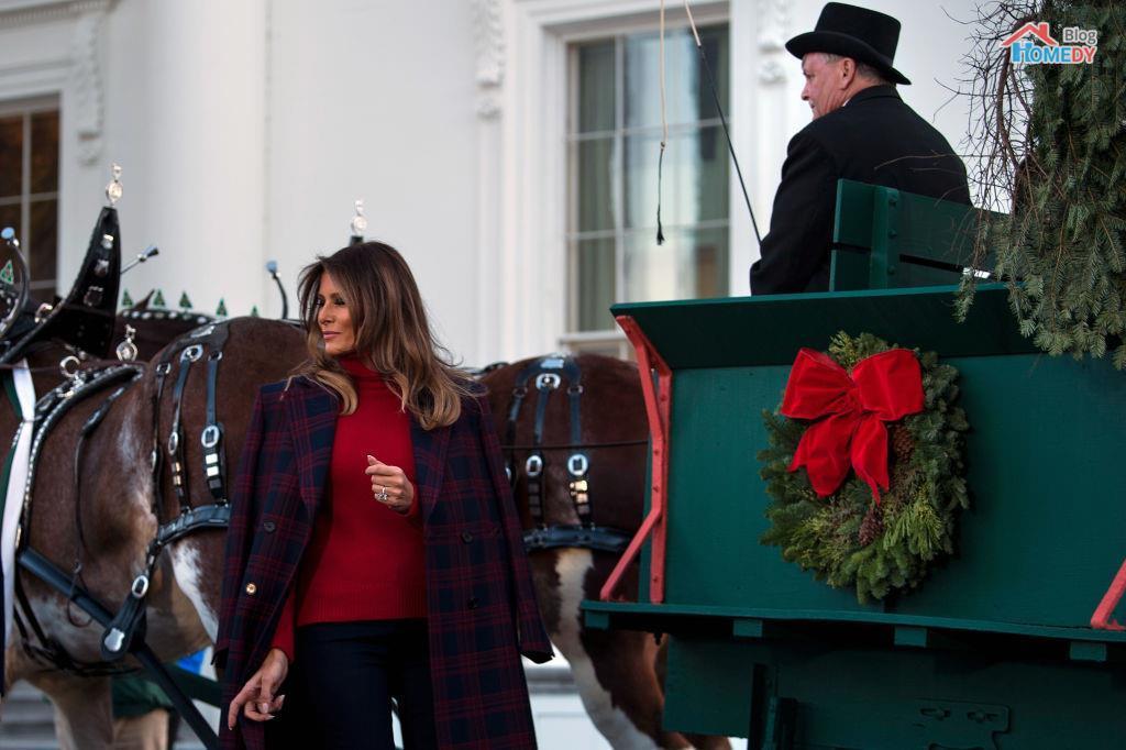 melania trump