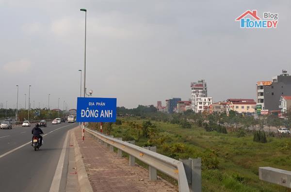 dong anh