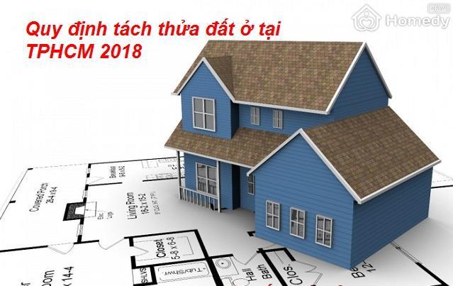 thi truong  dat nen 2018