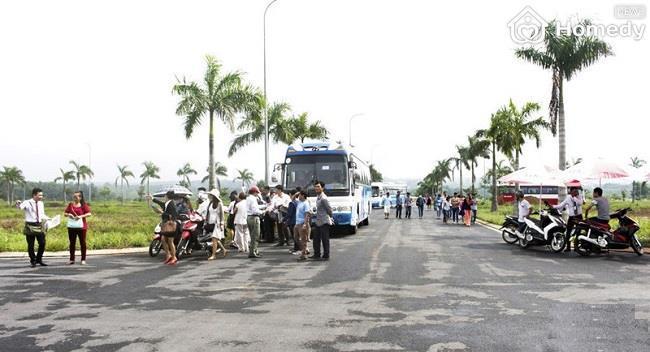 dat-nen-bien-hoa