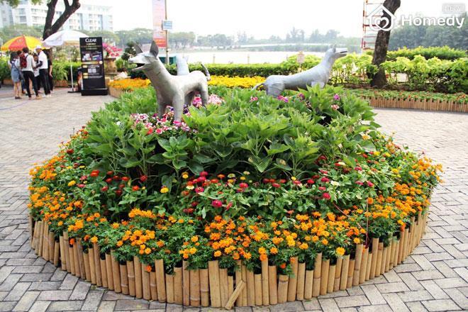 cho hoa