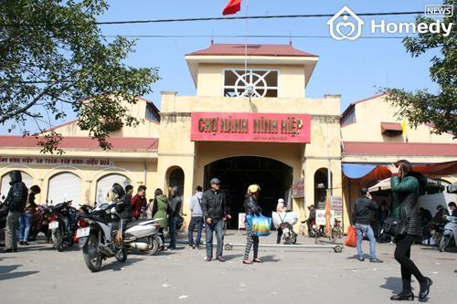 cho nanh