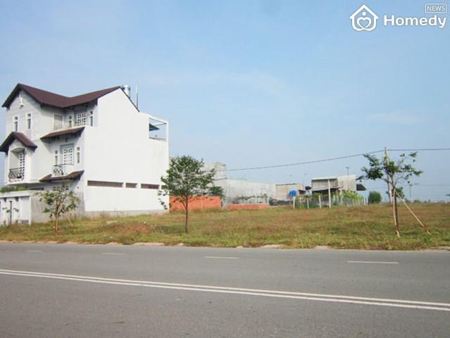 dat nen tinh le