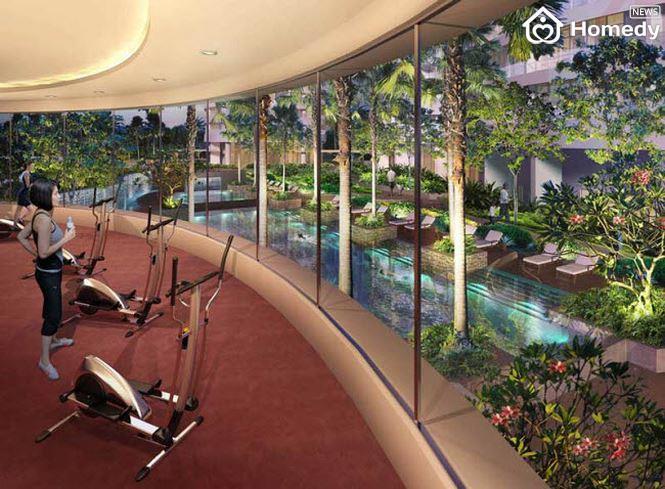 phong gym