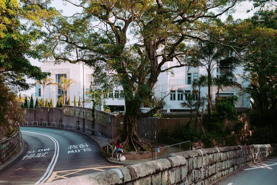 khu nha giau hong kong