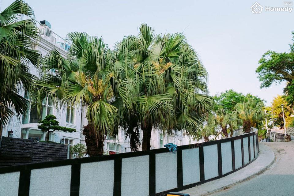 khu nha giau hong kong