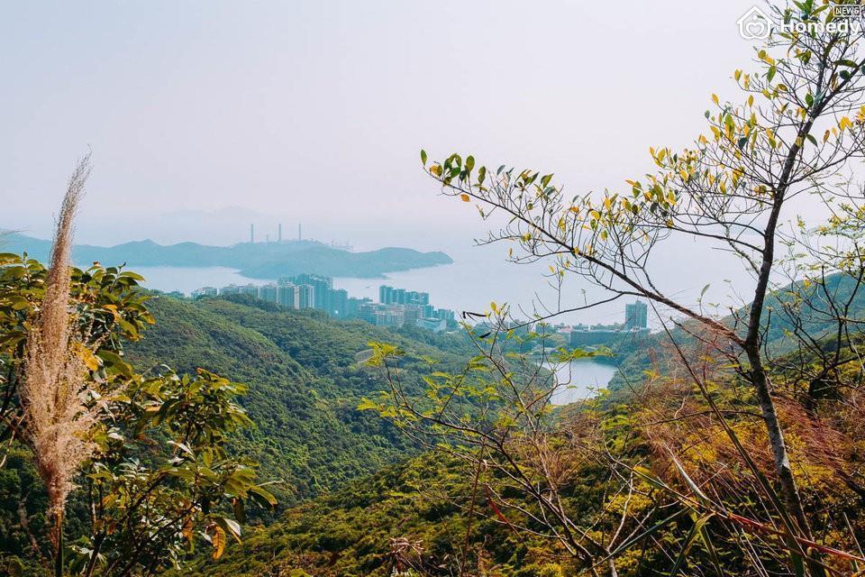 khu nha giau hong kong