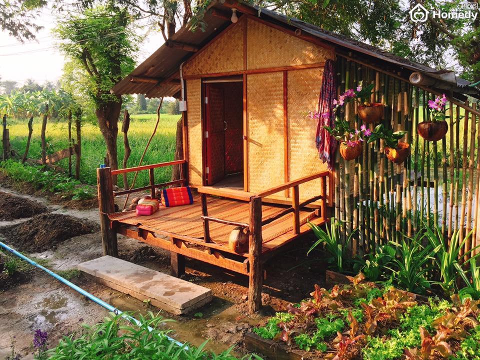leu tranh