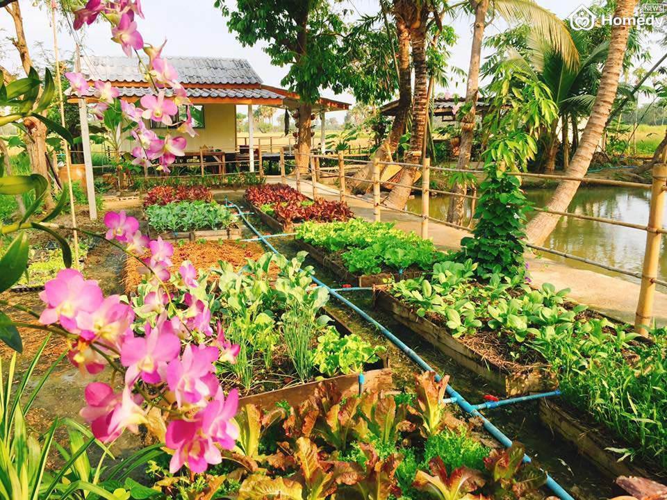 leu tranh