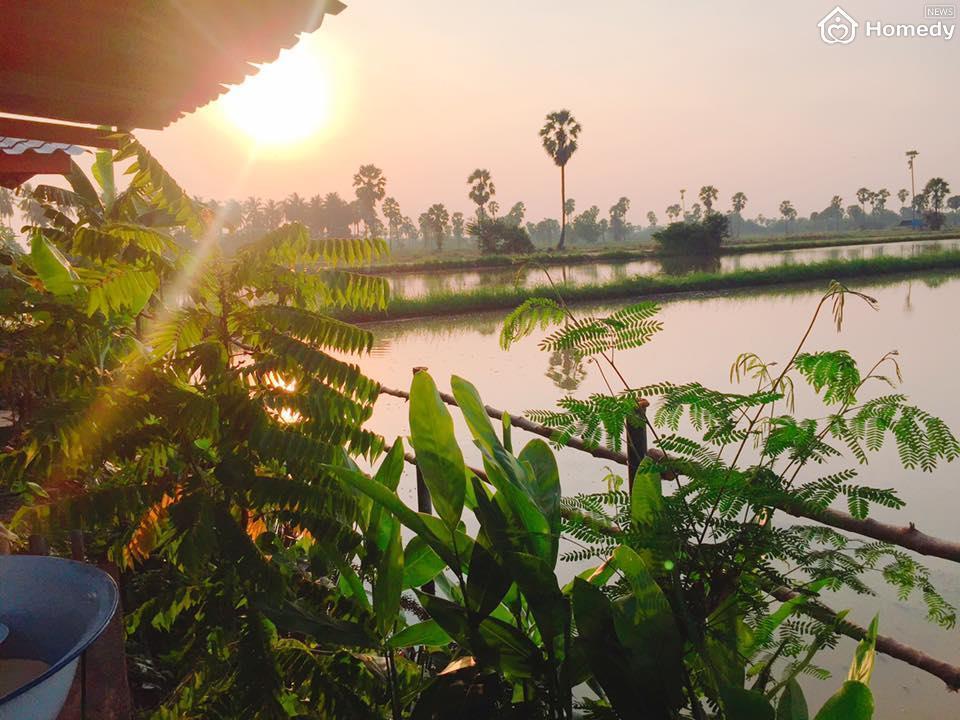 nha tranh