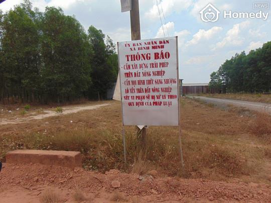 quy dinh dat dong nai