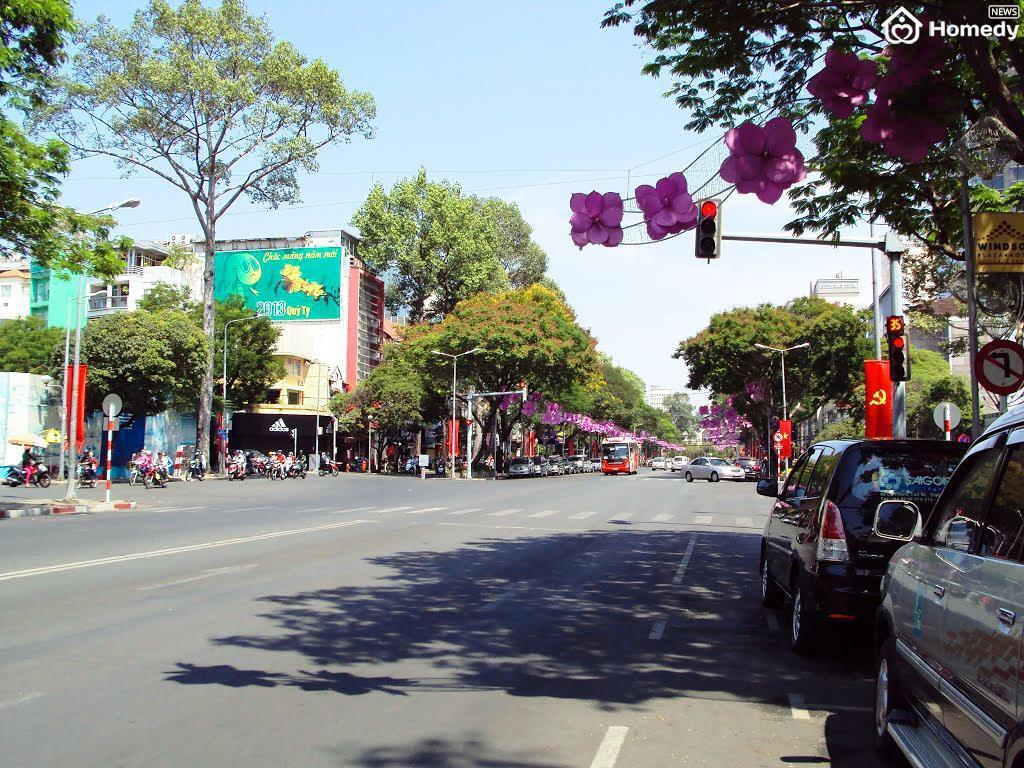duong le loi