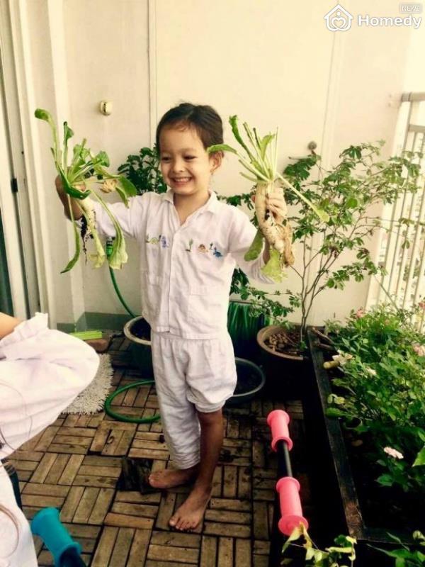 hong nhung