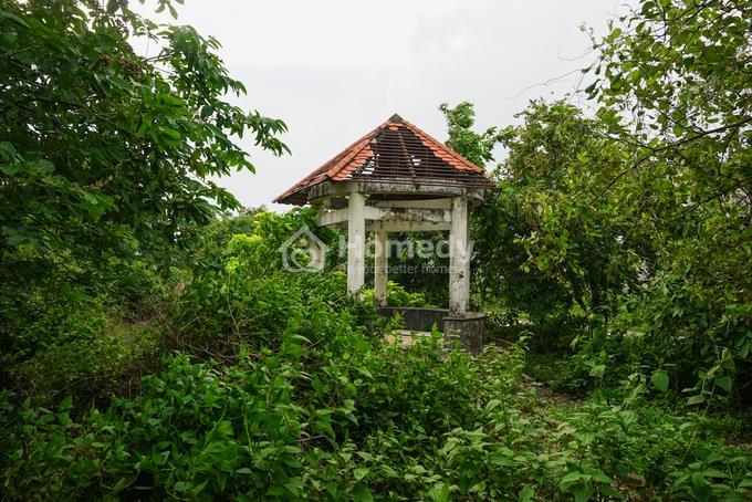 dan cu kieu mau