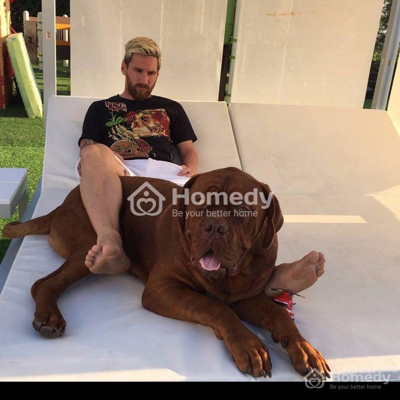 messi