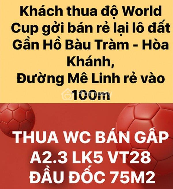 ban nha theo world cup