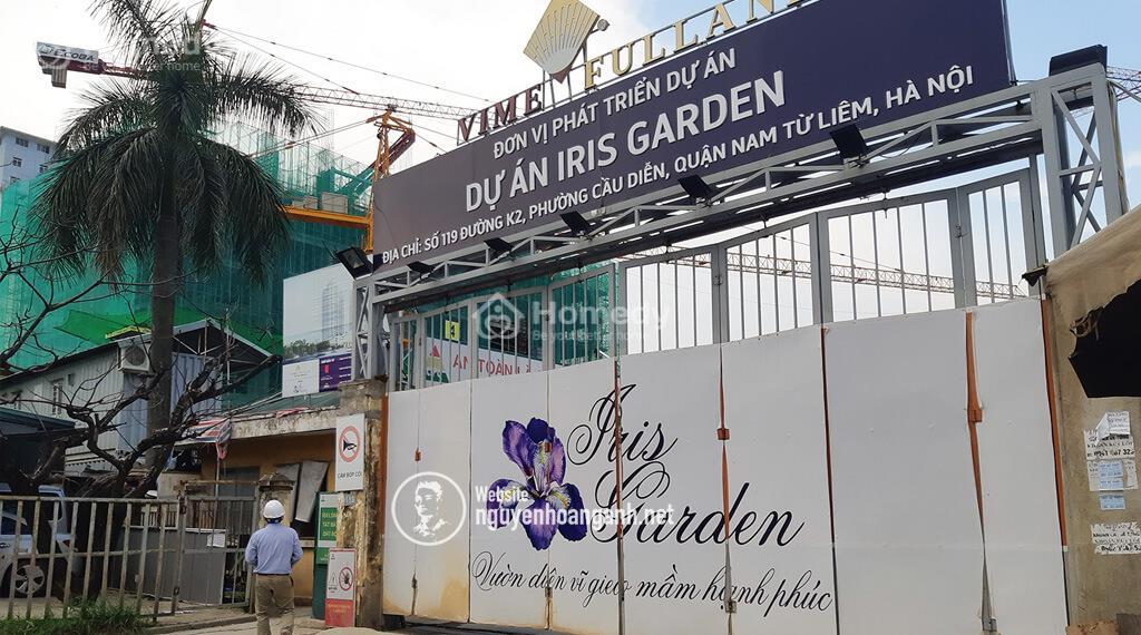Iris Garden