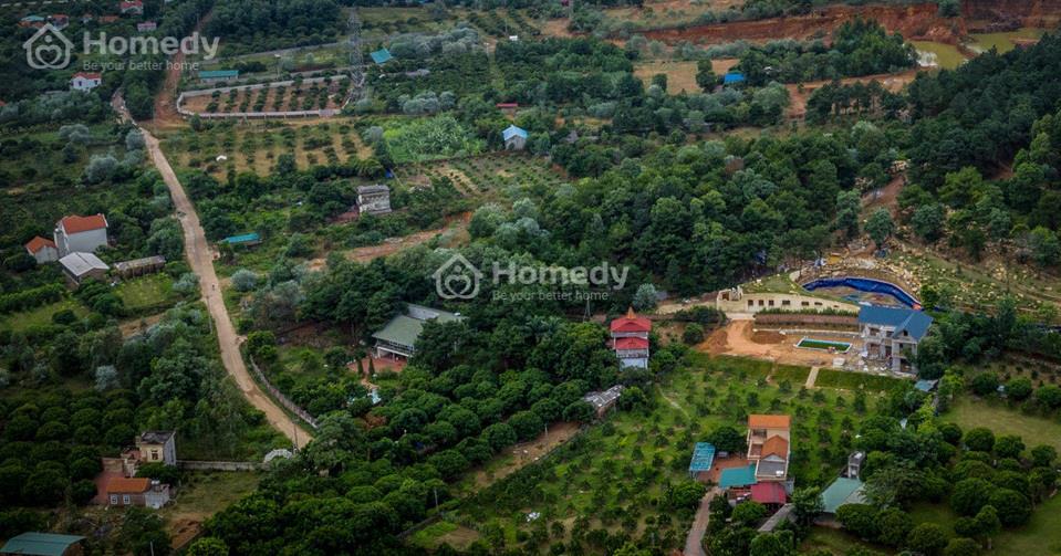 Biển quảng cáo của các khu nghỉ dưỡng như The Choai Villa, The Homie, The Moonlight, Trà hoa viên hay Khu sinh thái Thiên Phú Lâm….mọc lên như nấm tại khu vực thôn Lâm Trường, xã Minh Phú (Sóc Sơn, Hà Nội)