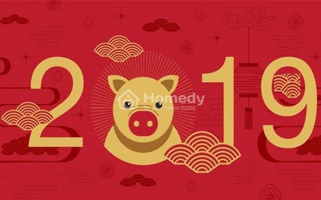 tu vi 2019