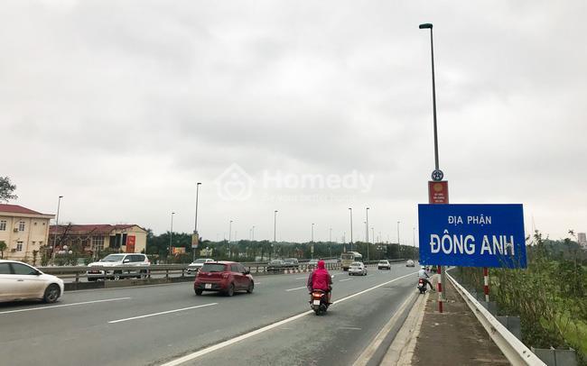 dong anh