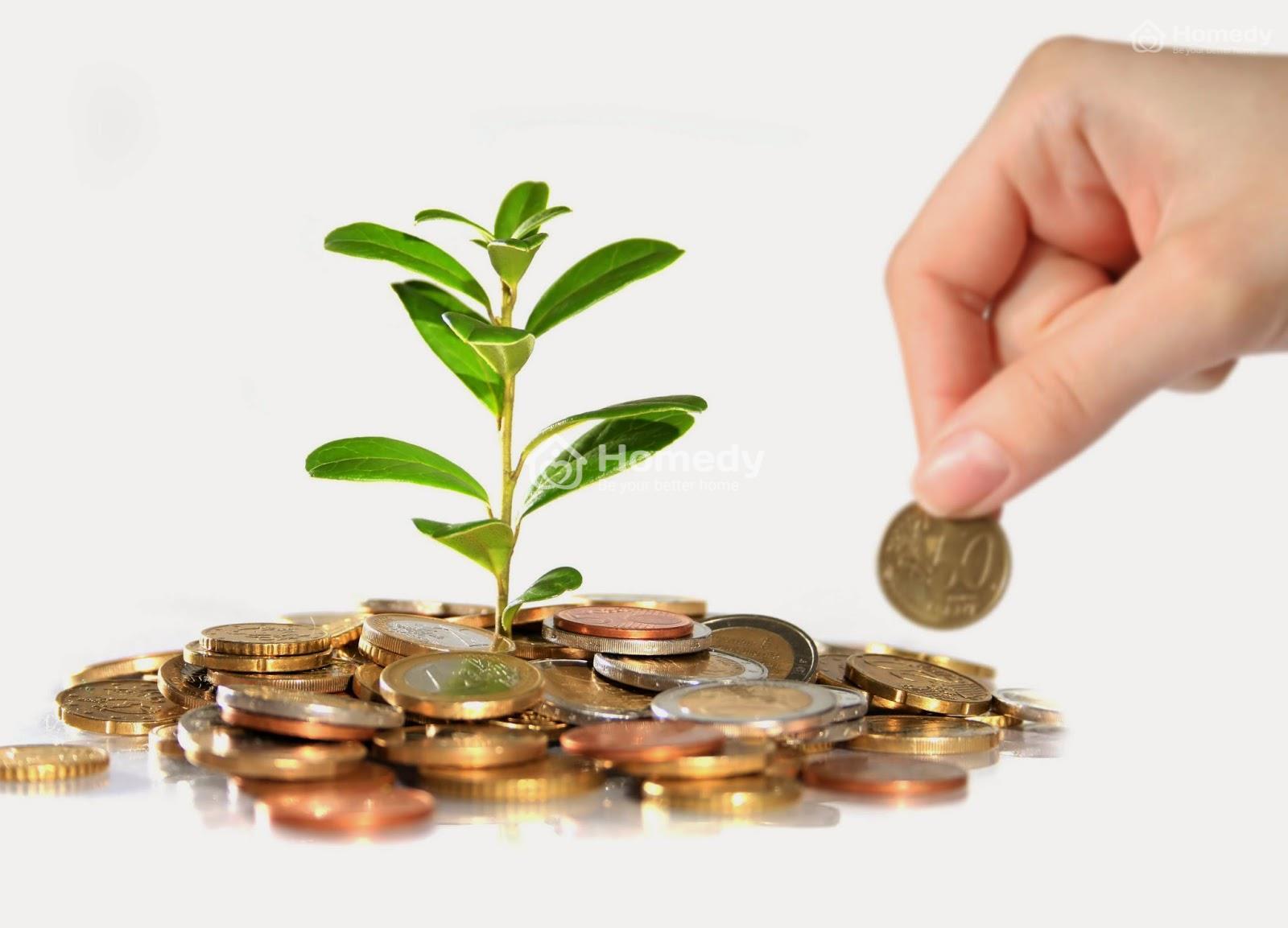 luật kinh doanh bất động sản