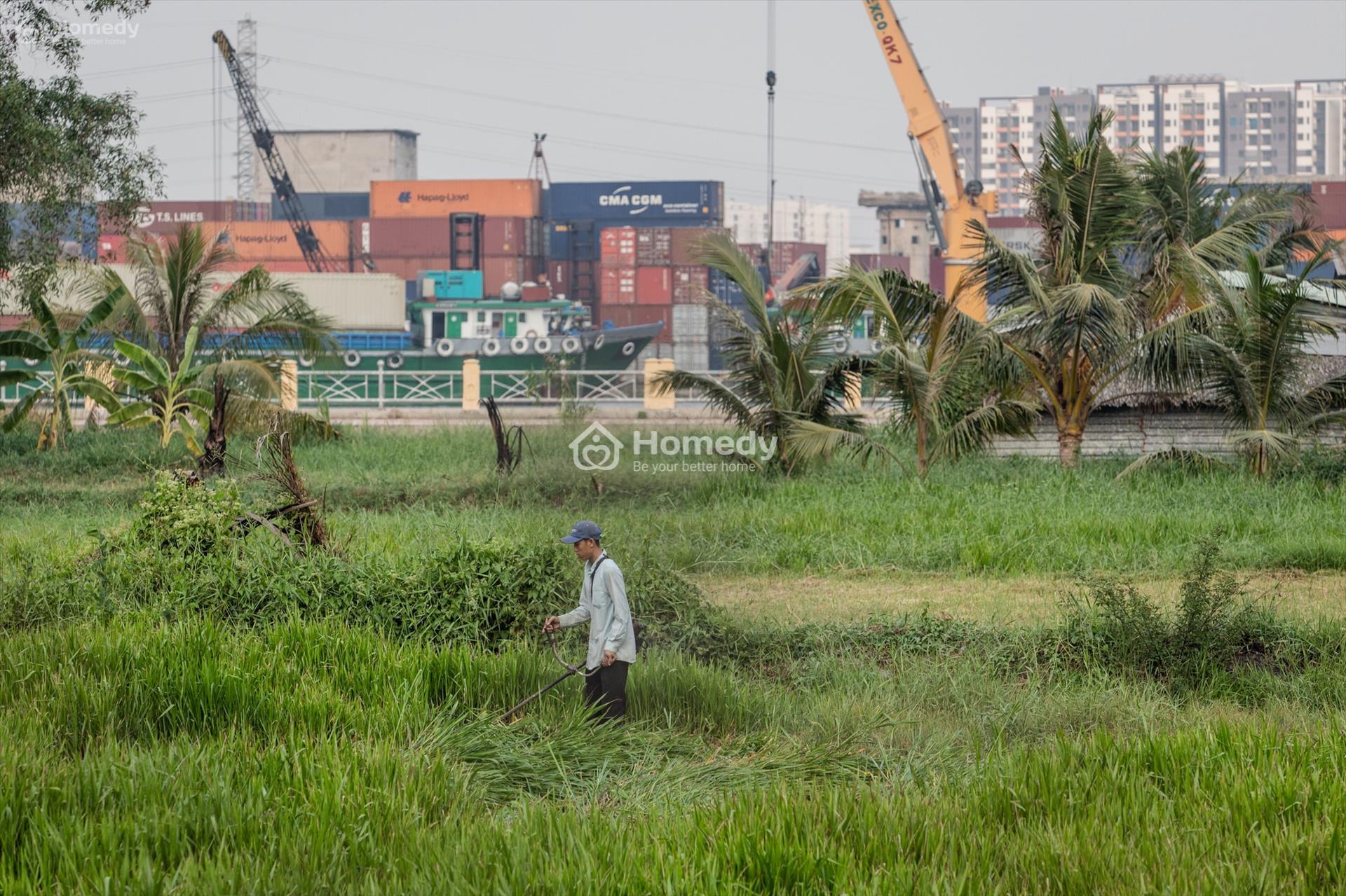 Quy hoạch treo là gì