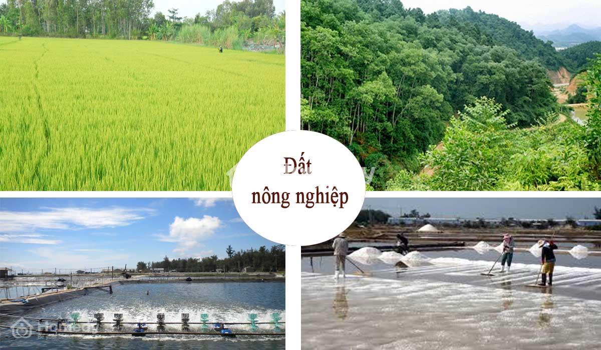 Hợp đồng thuê đất nông nghiệp là gì?