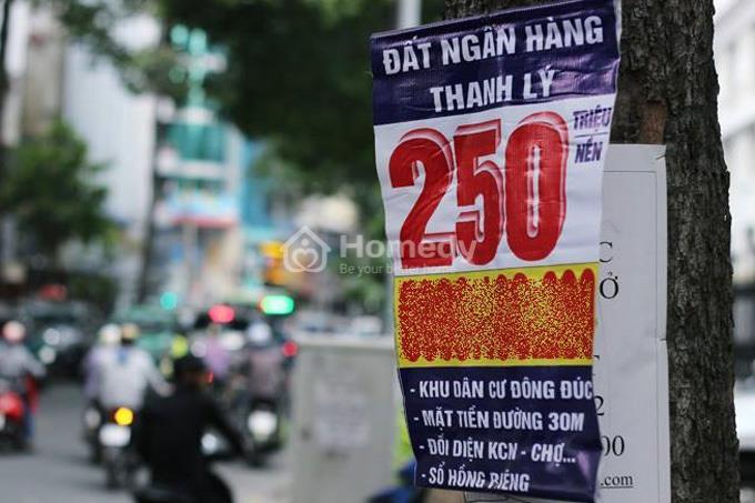 dat-thanh-ly