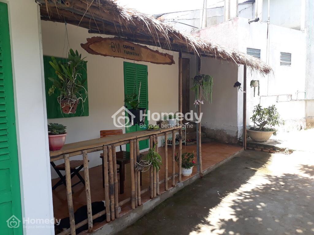 OVi Coffee Farmstay