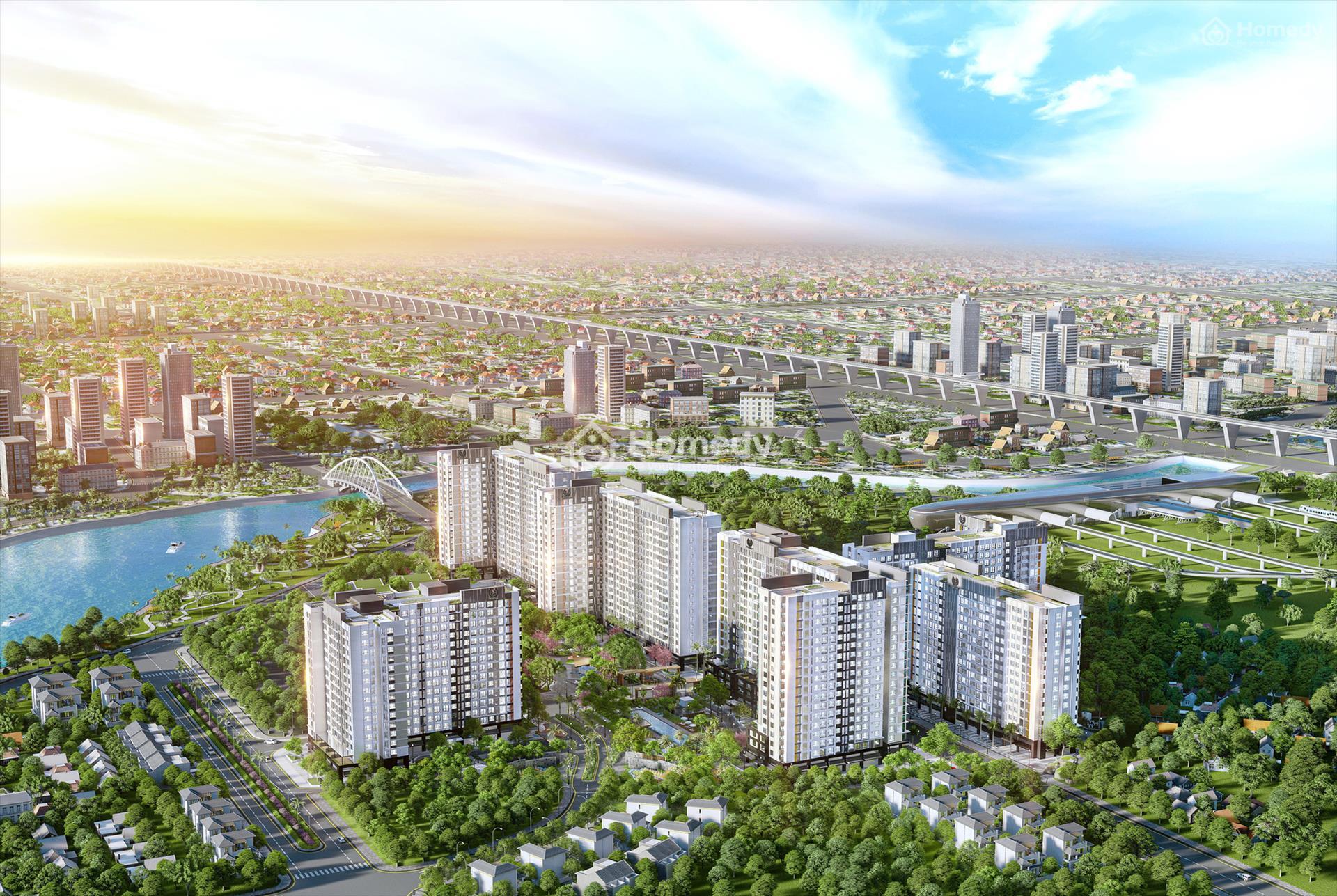 bds-thanh-pho-lon