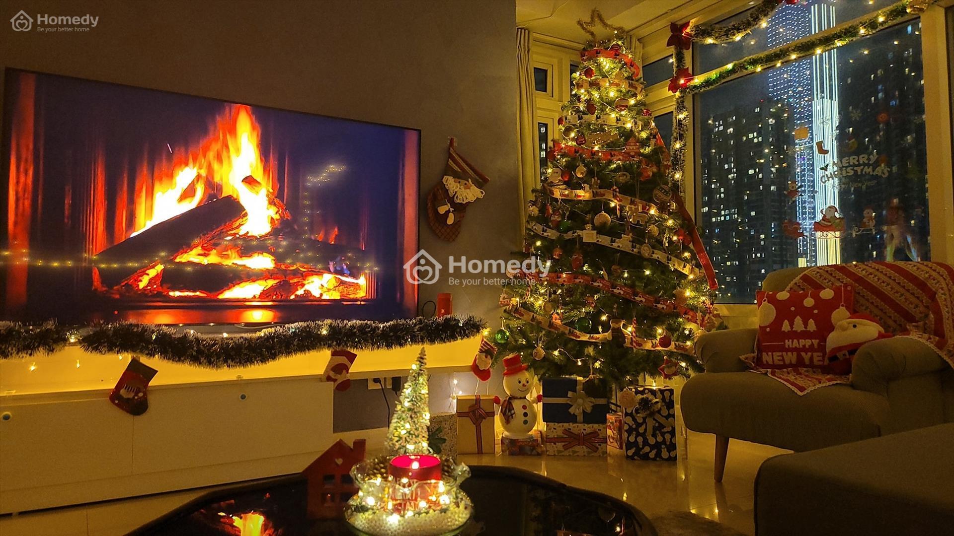 cay-thong-noel