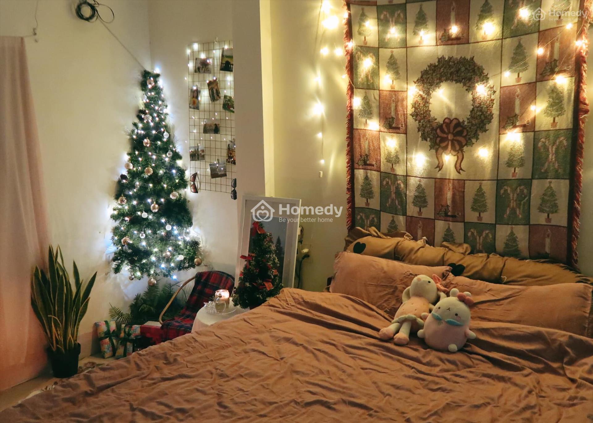 cay-thong-noel
