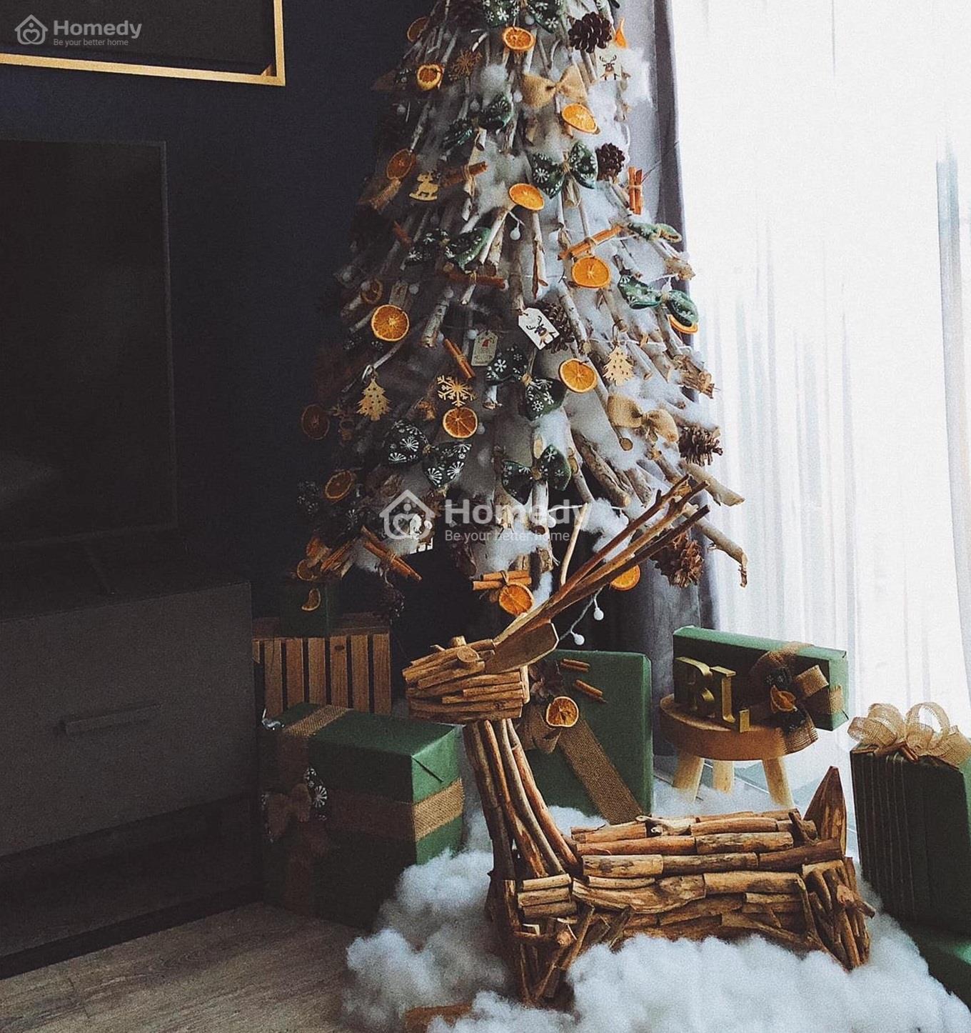 cay-thong-noel
