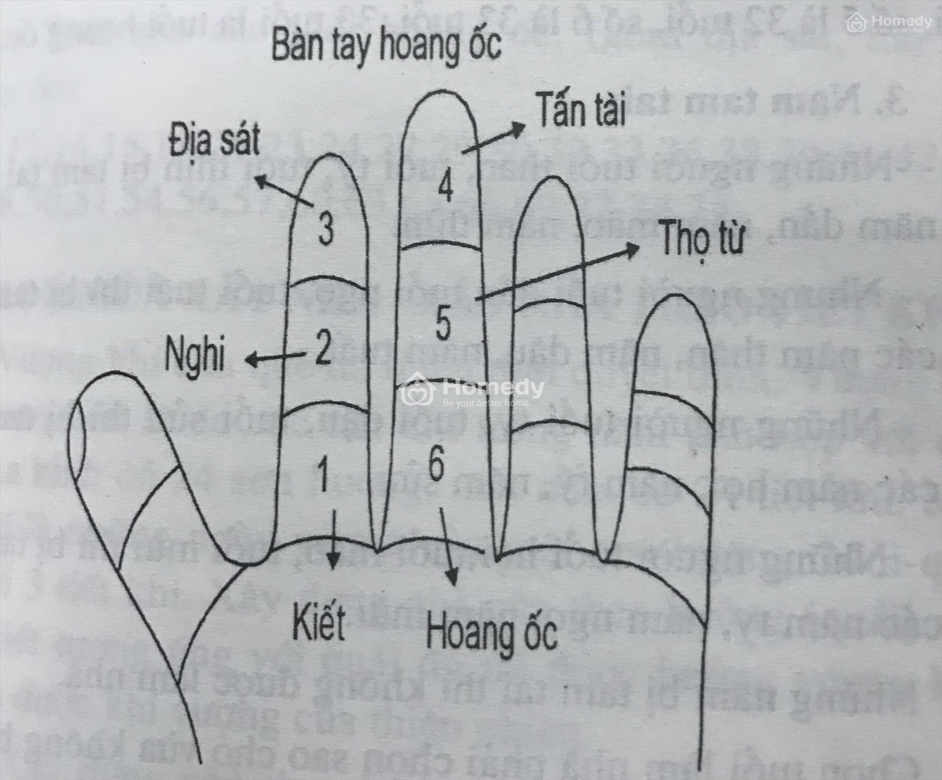 dau-tu-bat-dong-san