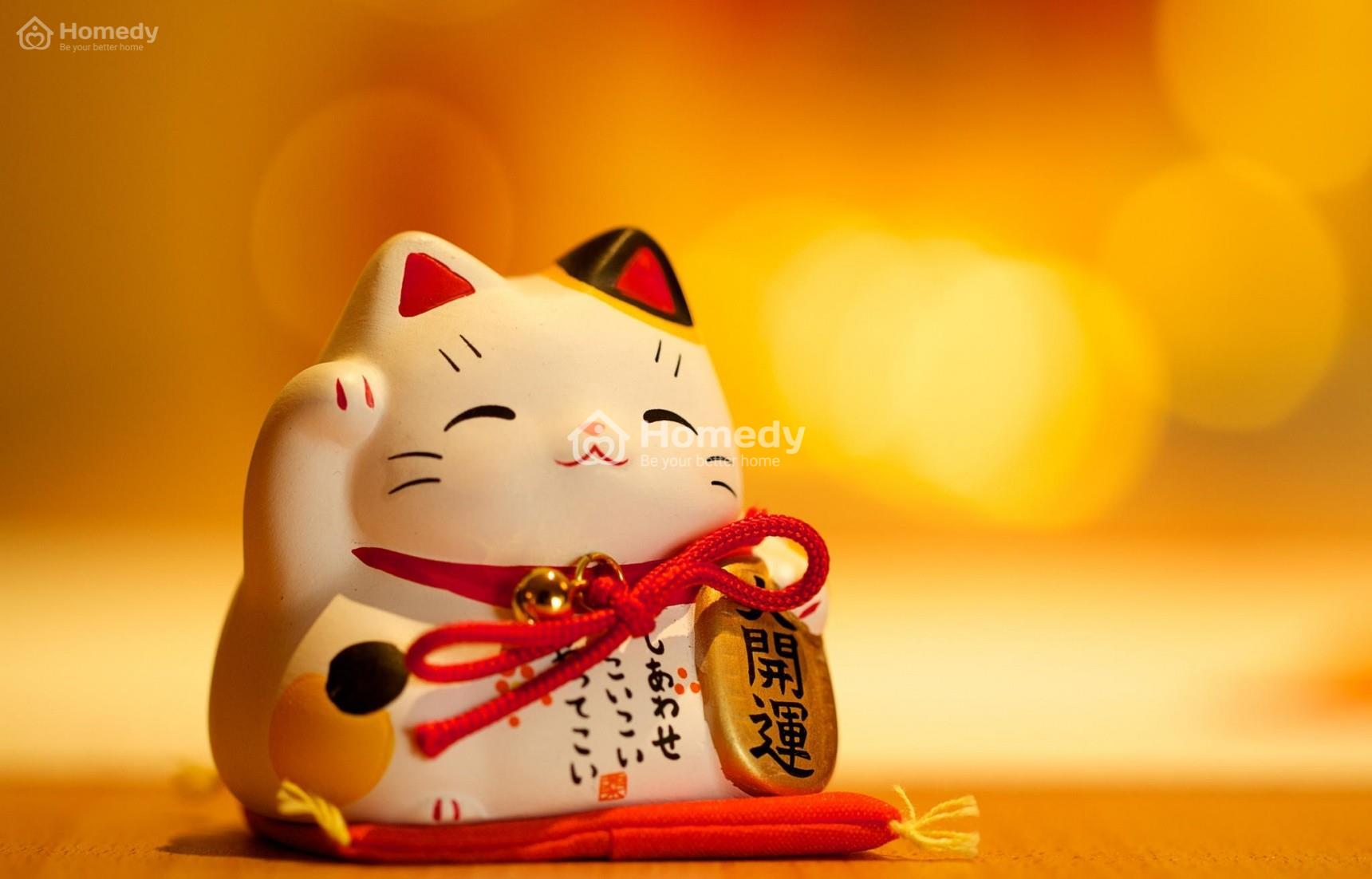 Mèo thần tài là gì