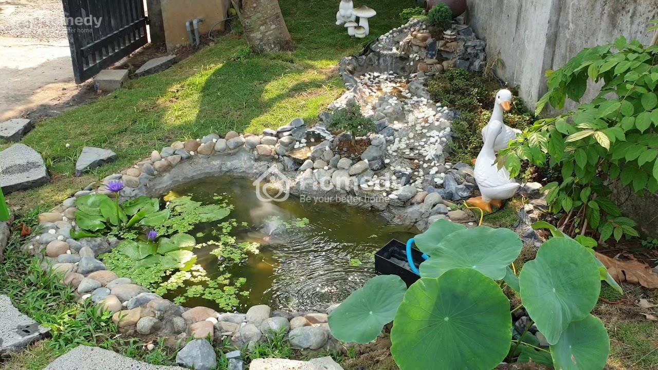 Tiểu cảnh hồ cá đẹp