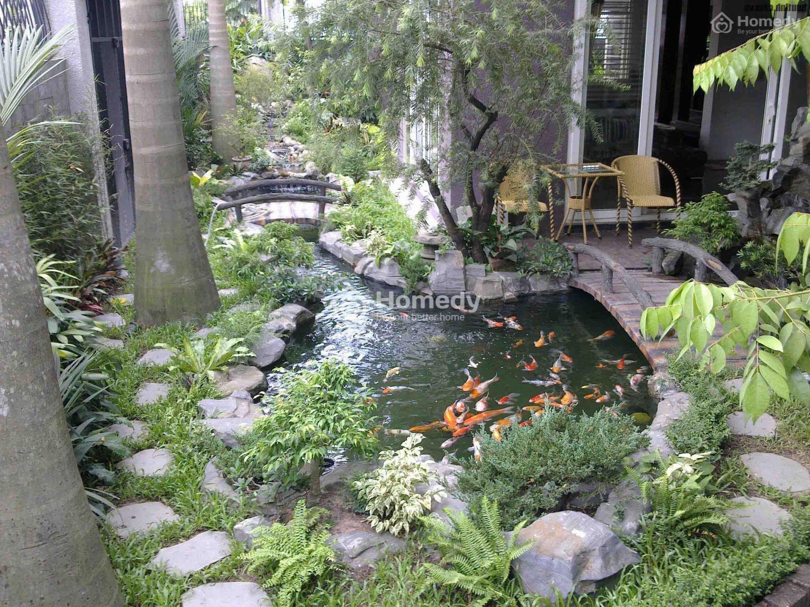 Tiểu cảnh hồ cá
