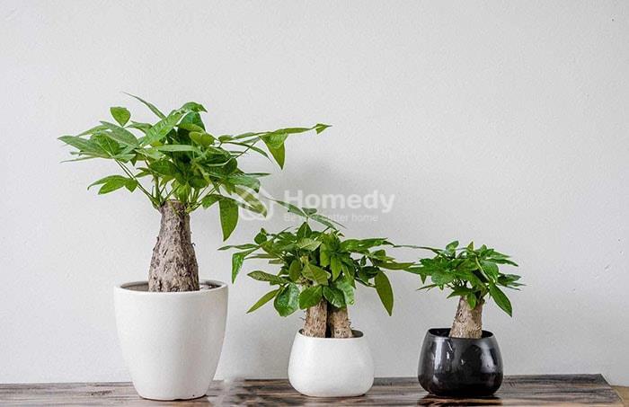 Tranh trang trí phòng khách hợp mệnh Kim